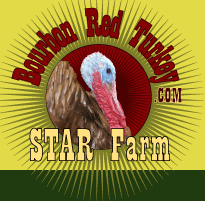 Bourbon Red Turkey STAR Farm